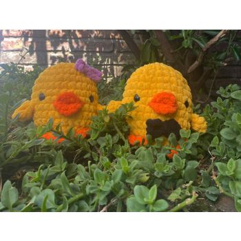 Señor y Señora pato