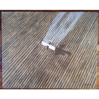 Avion Fumigador