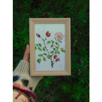 Ilustración naturalista de escaramujo pintado en acuarela. Obra original. Modelo único. Perfecto para combinarlo con otras obras del mismo estilo y llenar esos espacios pequeños en cualquier habitación!
