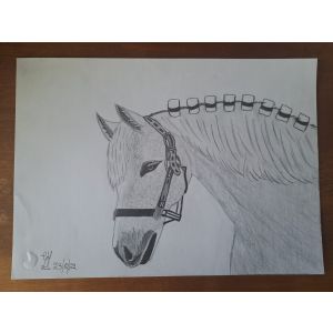 Caballo