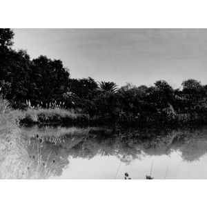 Lago del Parque Lecocq. Santiago Vázquez