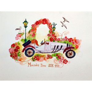 Coleccion de autos edicion especial