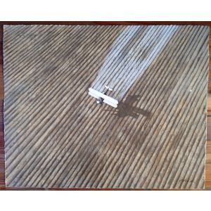 Avion Fumigador