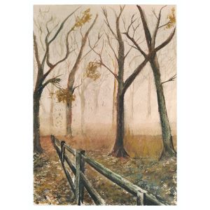 El bosque