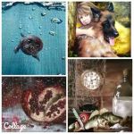 N_Lex_art